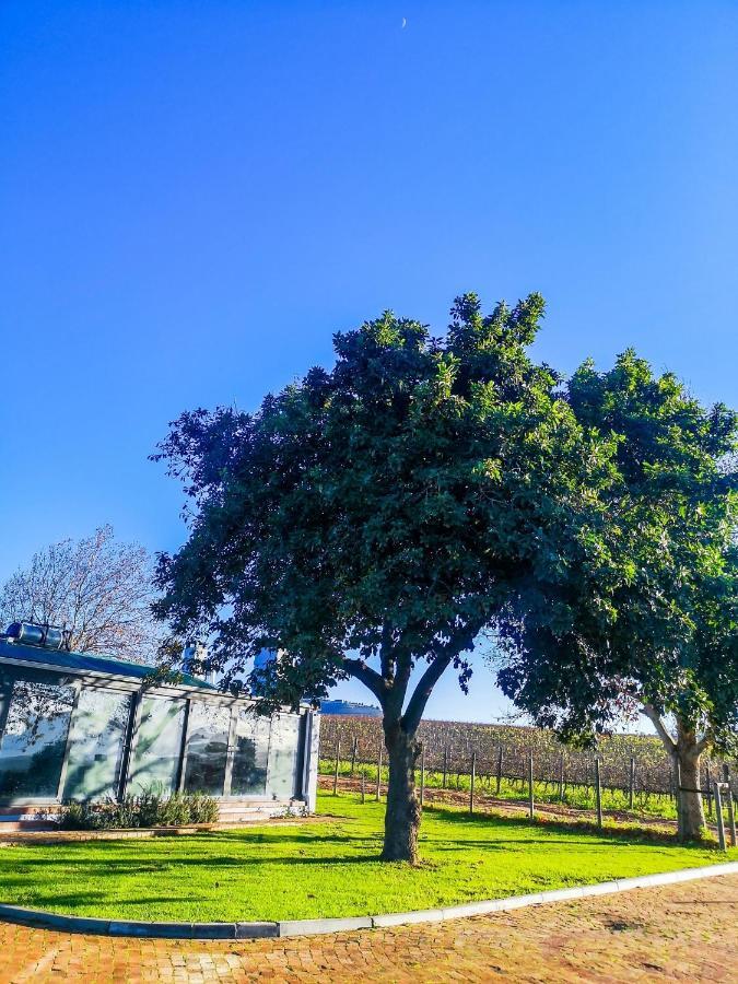 401 Rozendal Cottages Stellenbosch Exterior photo